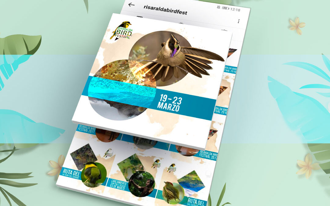 Risaralda Bird Festival 2020