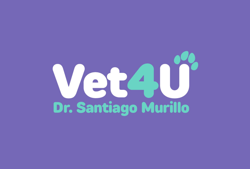 Vet4U